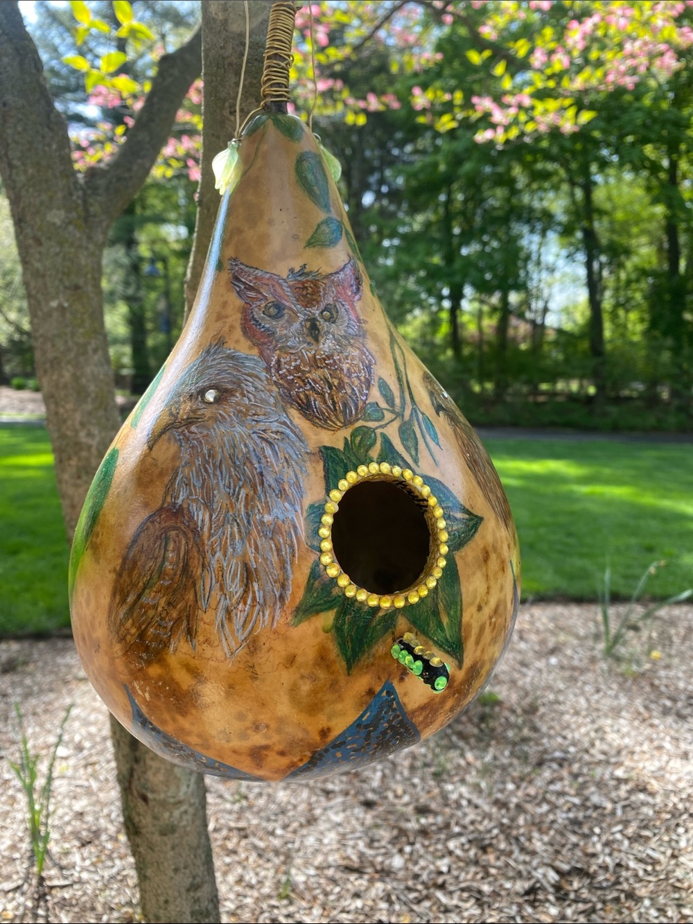 Hand-Painted Brown Gourd decorative Birdhouse with Owl Design